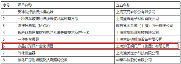 2021年度上海市嘉定區(qū)專利產(chǎn)業(yè)化項(xiàng)目擬立項(xiàng)公示（部分截圖）